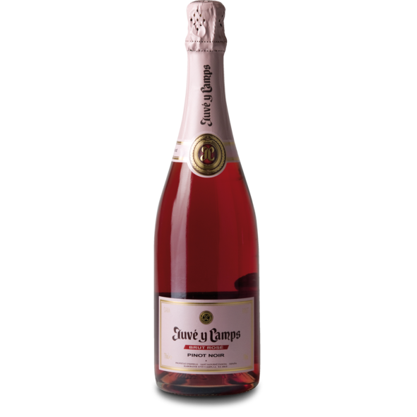 Cava Essential Rosé, D.O. Cava de Guarda, Juve Y Camps