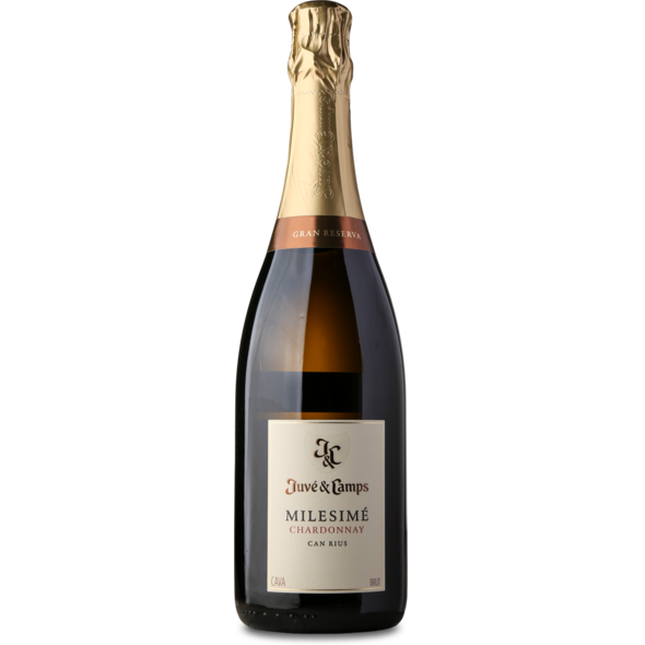 2018 Cava Milesimé Chardonnay, D.O. Cava de Guarda Superior Gran Reserva, Juve Y