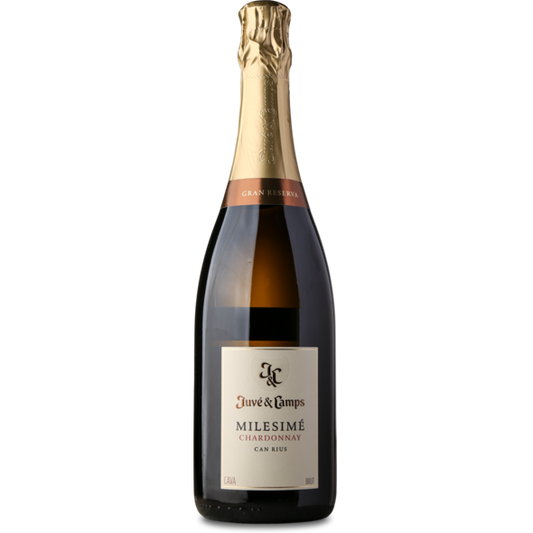 2018 Cava Milesimé Chardonnay, D.O. Cava de Guarda Superior Gran Reserva, Juve Y