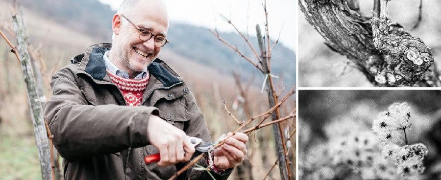 "Riesling og Pinot Noir i Mittelrhein"  - Smagning ved Martin Sturm fra Weingut Sturm  - 7. marts 2025 kl 19