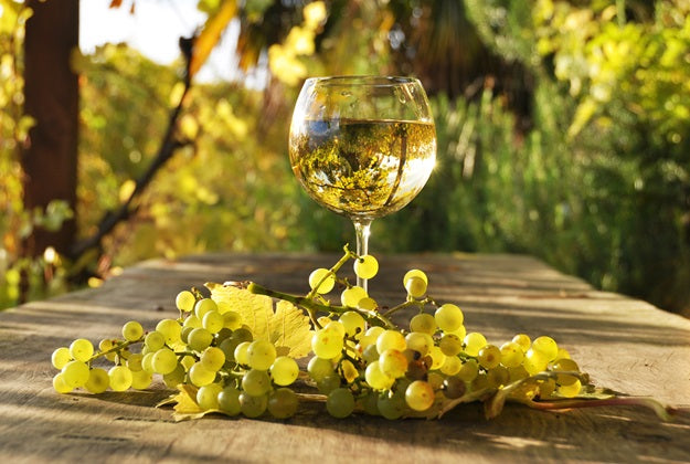 Vinsmagning 24. oktober 2025 - Hvidvine