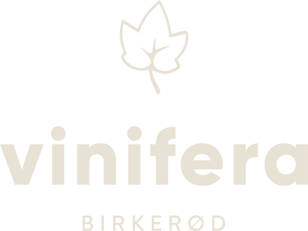 Vinifera